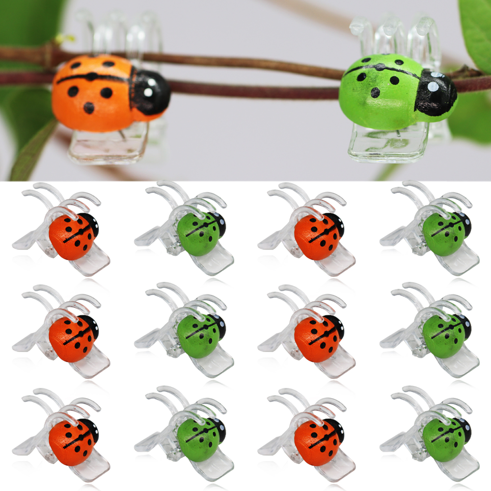 Bonsai Garden Ideas - 10-800PCS Ladybird Orchid Clips Colorful 5-Claw
