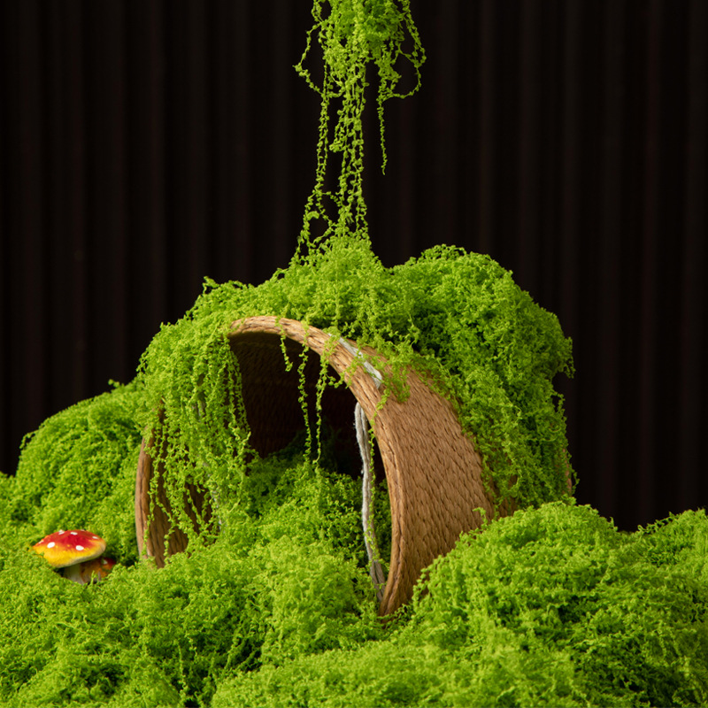 Bonsai Garden Ideas - 200g Eternal Life Moss DIY Crafts