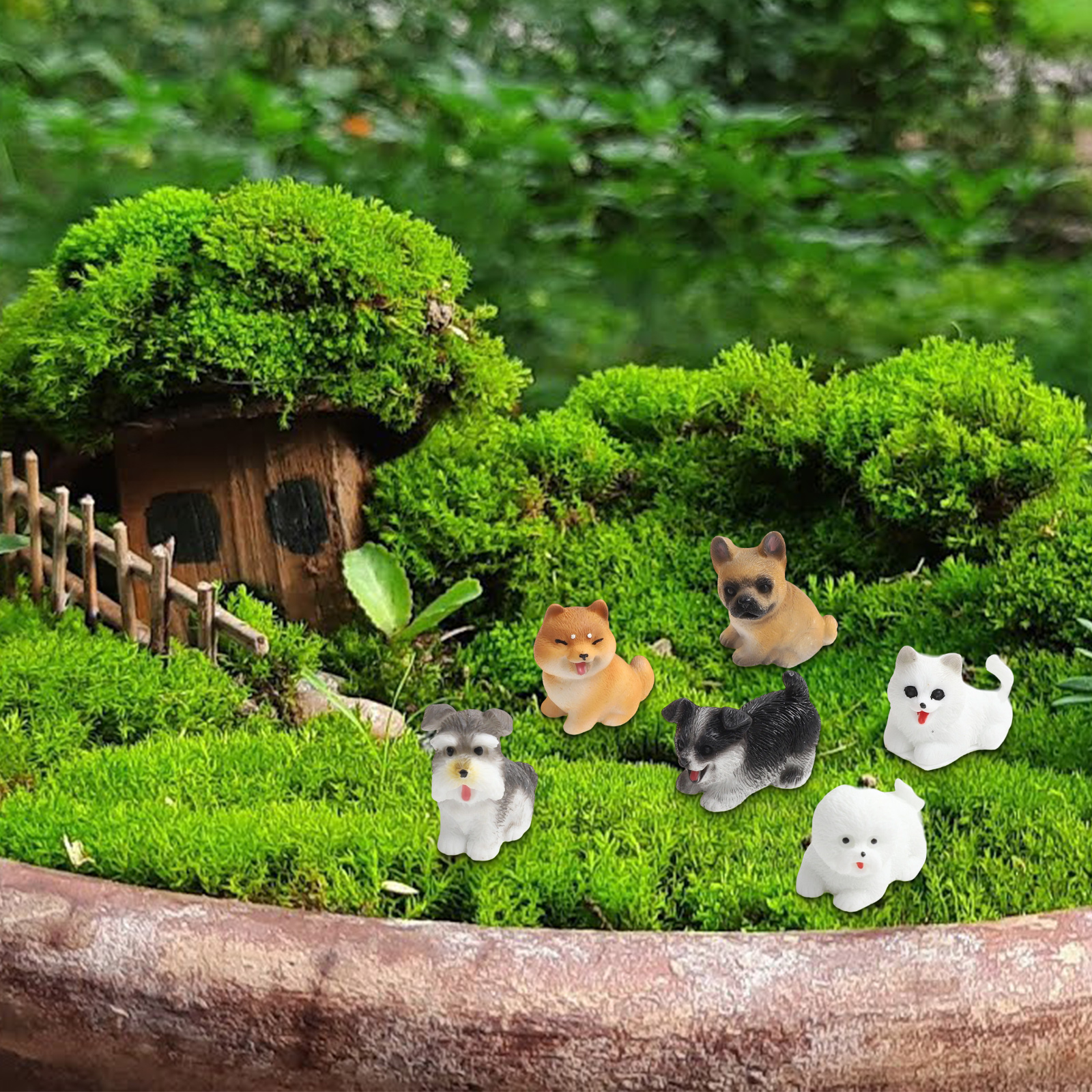 Bonsai Garden Set Up - Fairy Garden Decor As Picture Miniature