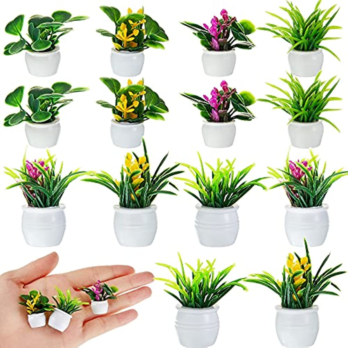 Bonsai Garden Ideas - Dollhouse Plant, Miniature Bonsai Plant, Mini