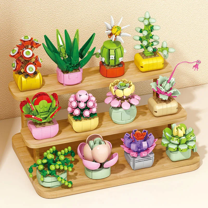 Bonsai Garden World - Flowers Succulents Building Blocks Everlasting Bonsai