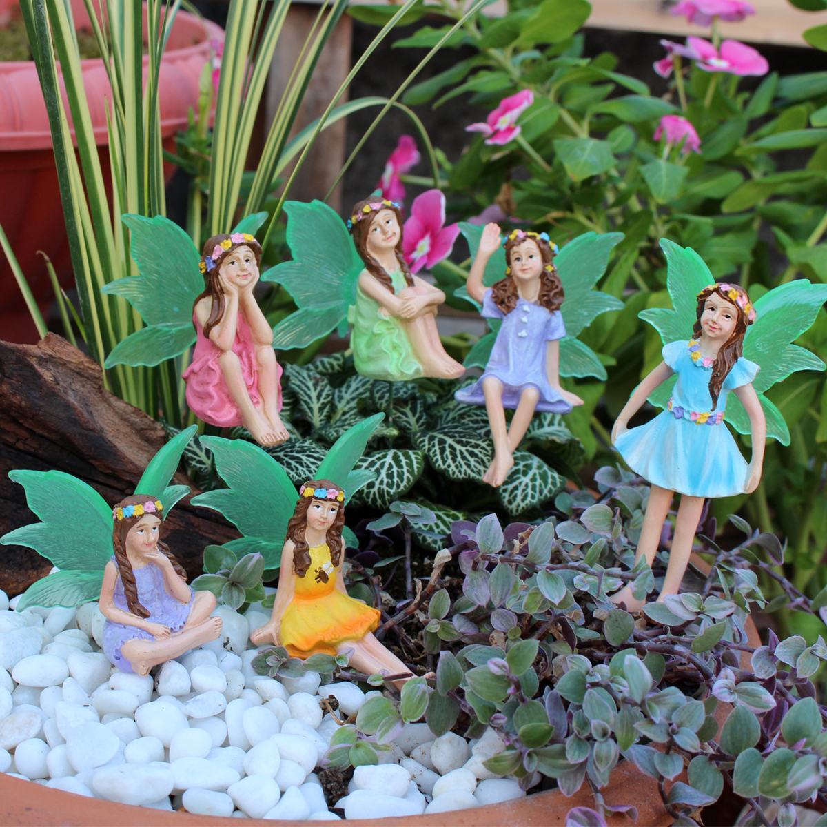 6pc Night Light Wings Flower F - Bonsai Garden World ulasan dan harga