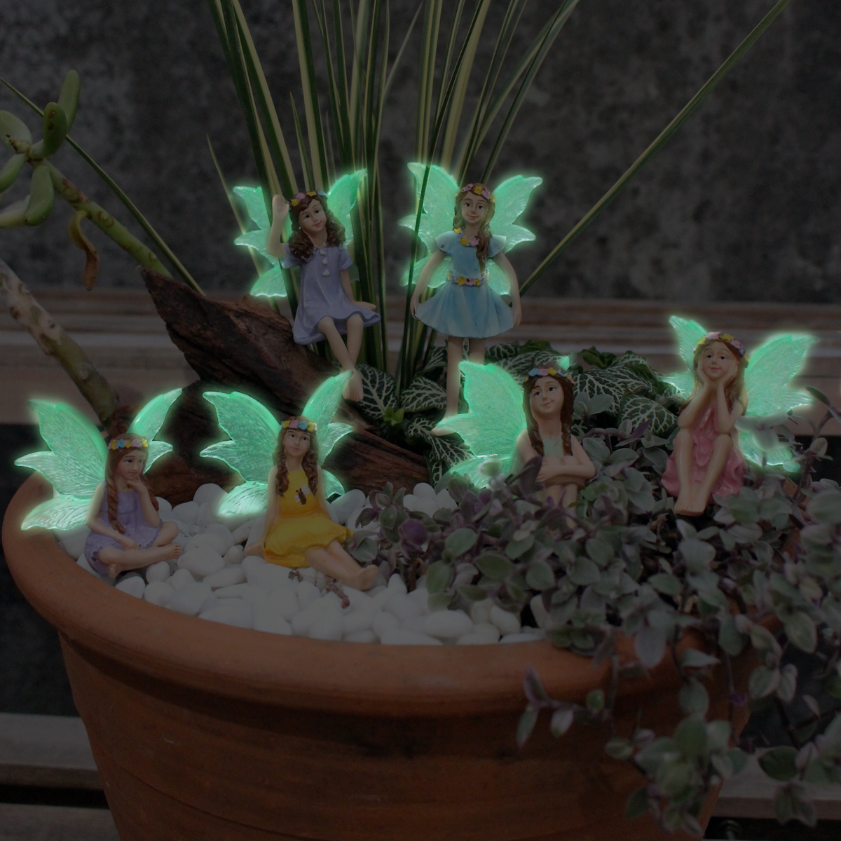 6pc Night Light Wings Flower F - Bonsai Garden World ulasan dan harga