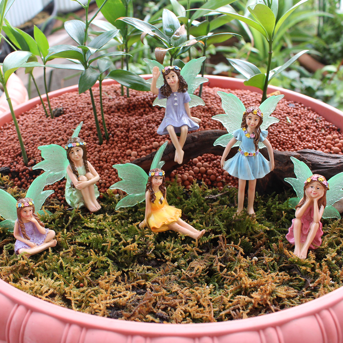 6pc Night Light Wings Flower F - Bonsai Garden World ulasan dan harga