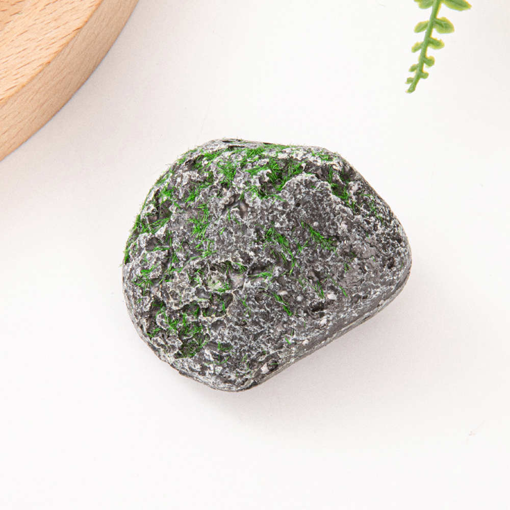 10PCS Mossy Gray Stone Multi-s - Bonsai Garden Ideas ulasan dan harga