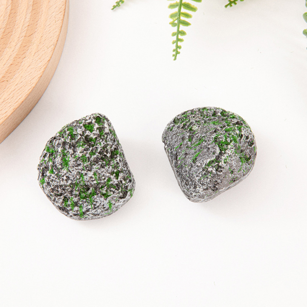 10PCS Mossy Gray Stone Multi-s - Bonsai Garden Ideas ulasan dan harga
