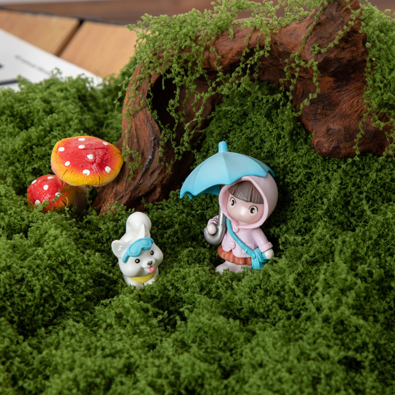 200g Eternal Life Moss DIY Cra - Bonsai Garden Ideas ulasan dan harga