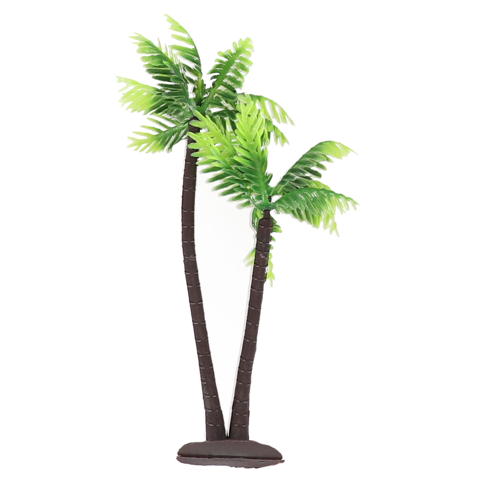5Pcs For Mini Coconut Palm Tre - Bonsai Garden Set Up ulasan dan harga