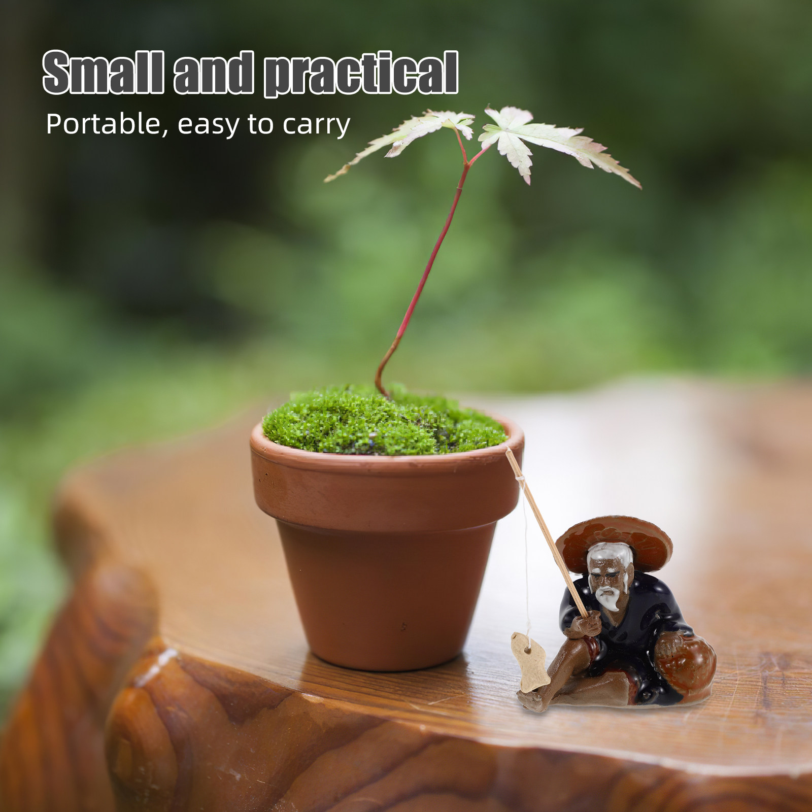 2Pcs Tiny Landscape Decoration - Bonsai Garden Set Up ulasan dan harga