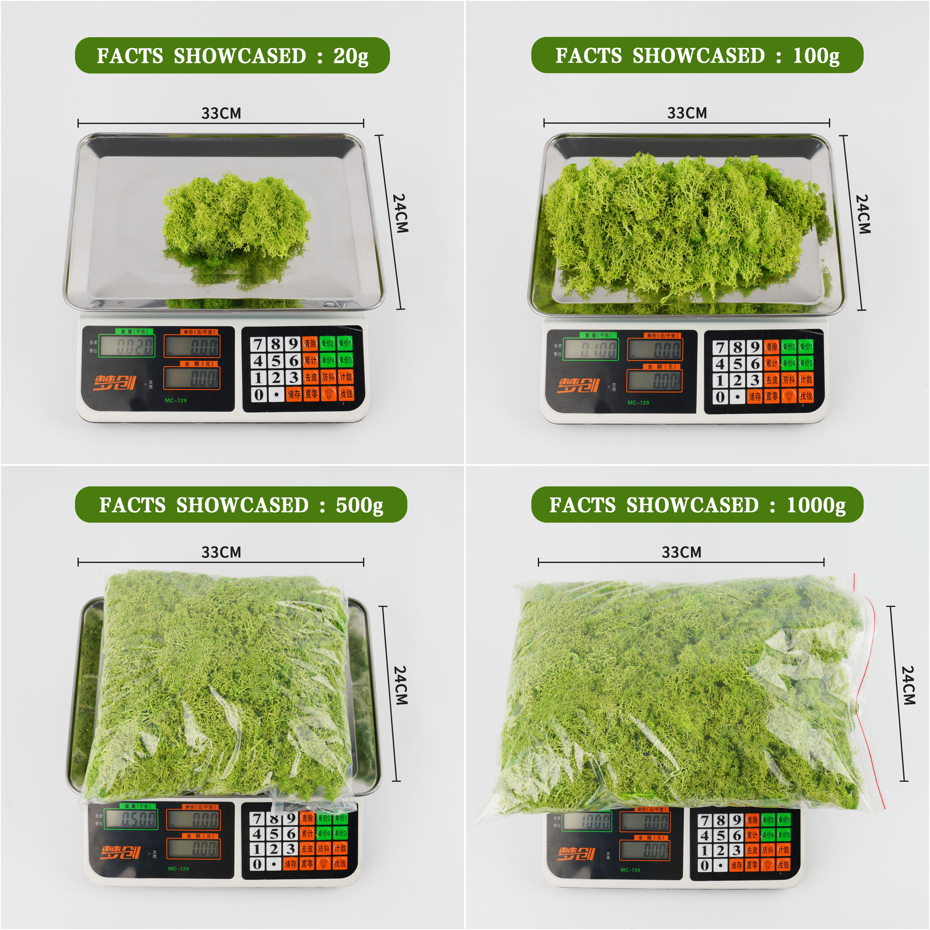 100/200/500g Eternal Life Moss - Bonsai Garden Ideas ulasan dan harga