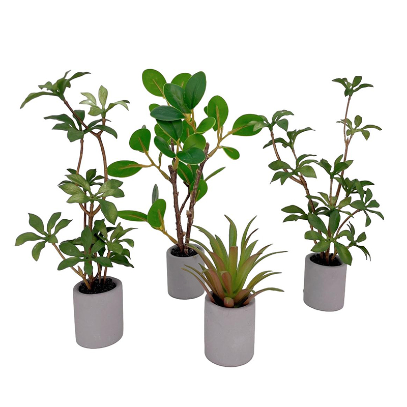 1:6 Dollhouse Miniature Potted - Bonsai Garden Ideas ulasan dan harga
