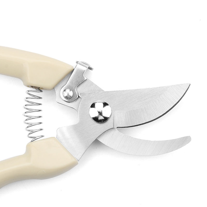 Stainless Steel Garden Scissor - Bonsai Garden World ulasan dan harga