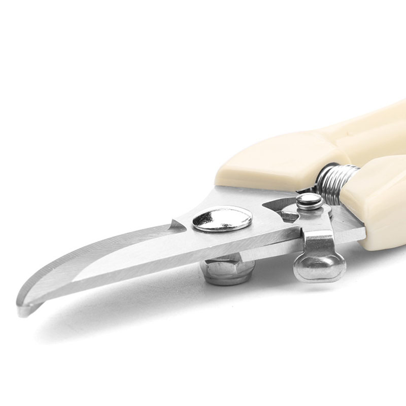 Stainless Steel Garden Scissor - Bonsai Garden World ulasan dan harga