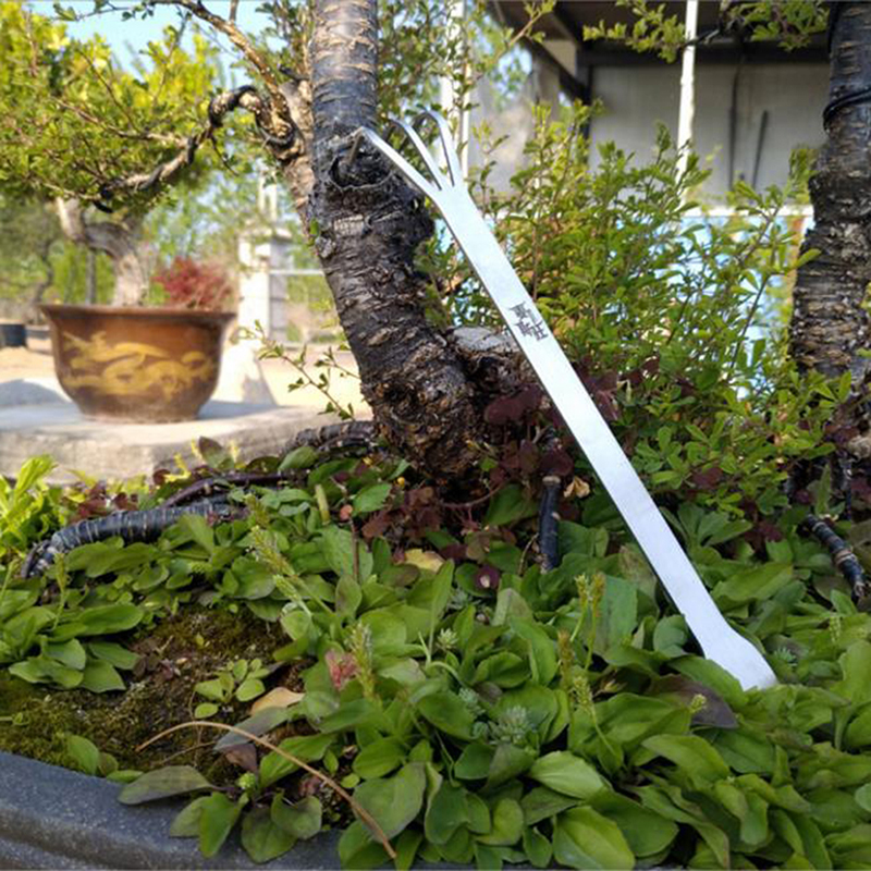 Hot Sale Stainless Steel Root  - Bonsai Garden For Sale ulasan dan harga