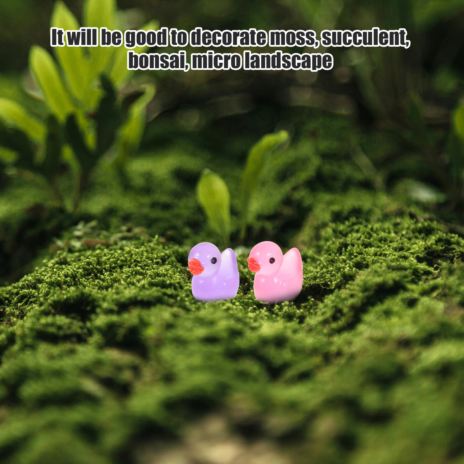 60Pcs Night Glow Mini Duck Res - Bonsai Garden World ulasan dan harga