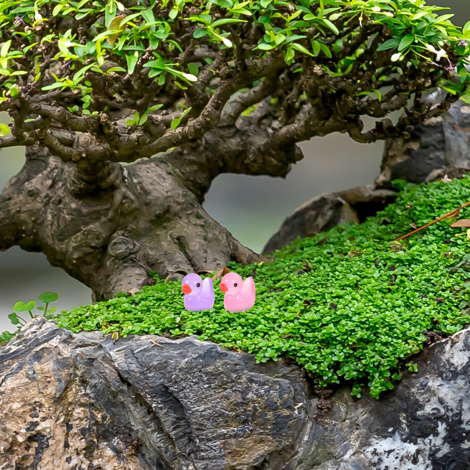 60Pcs Night Glow Mini Duck Res - Bonsai Garden World ulasan dan harga