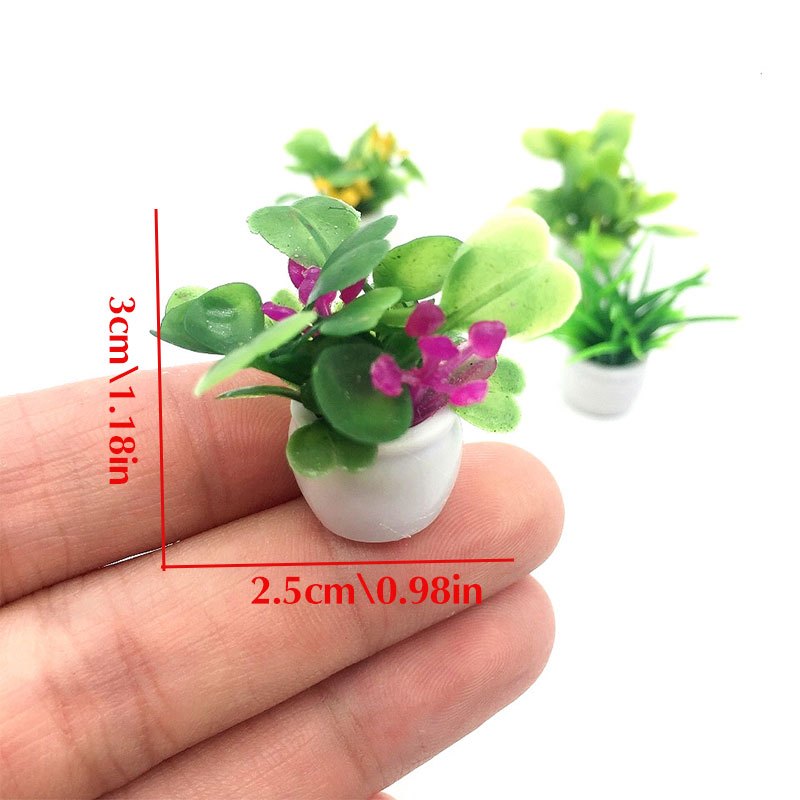Dollhouse Plant, Miniature Bon - Bonsai Garden Ideas ulasan dan harga