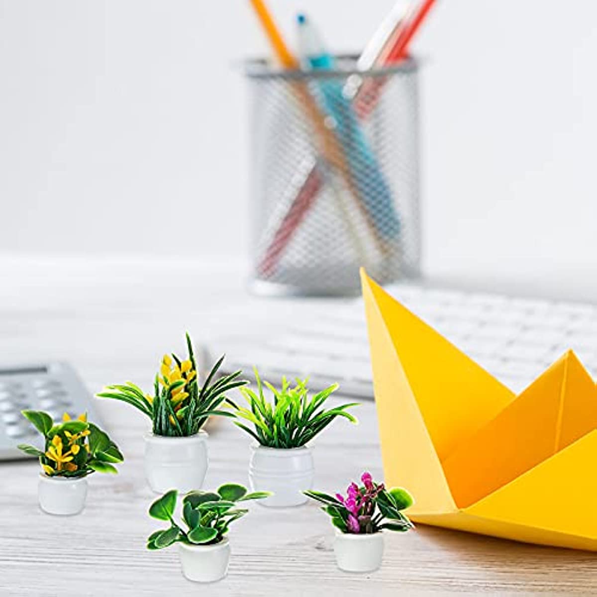 Dollhouse Plant, Miniature Bon - Bonsai Garden Ideas ulasan dan harga