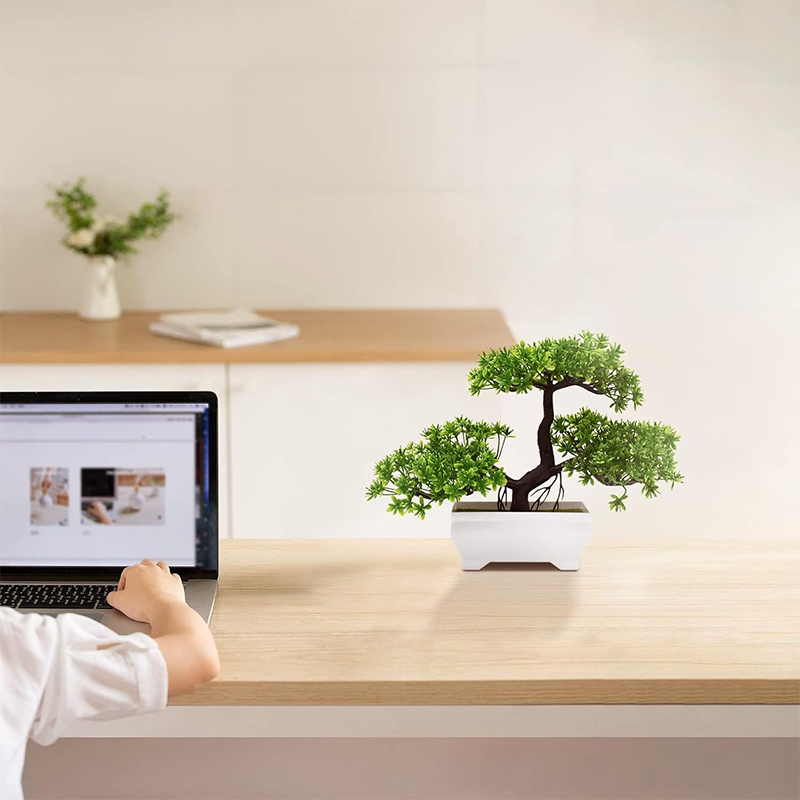 Artificial Bonsai Plastic Bion - Bonsai Garden Ideas ulasan dan harga