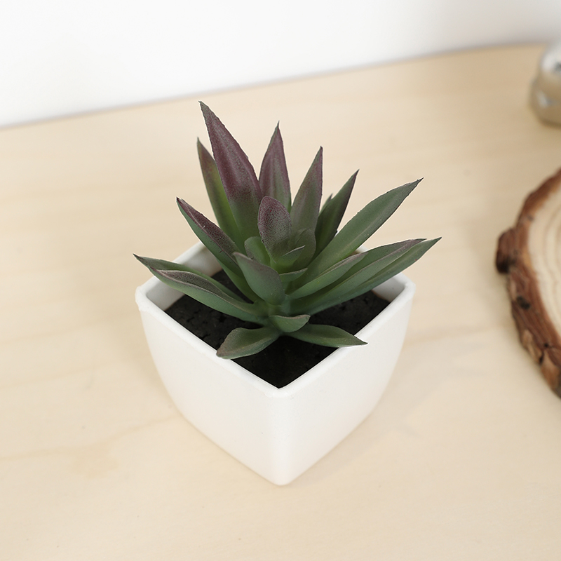 Mini Artificial Succulent Fair - Bonsai Garden Ideas ulasan dan harga