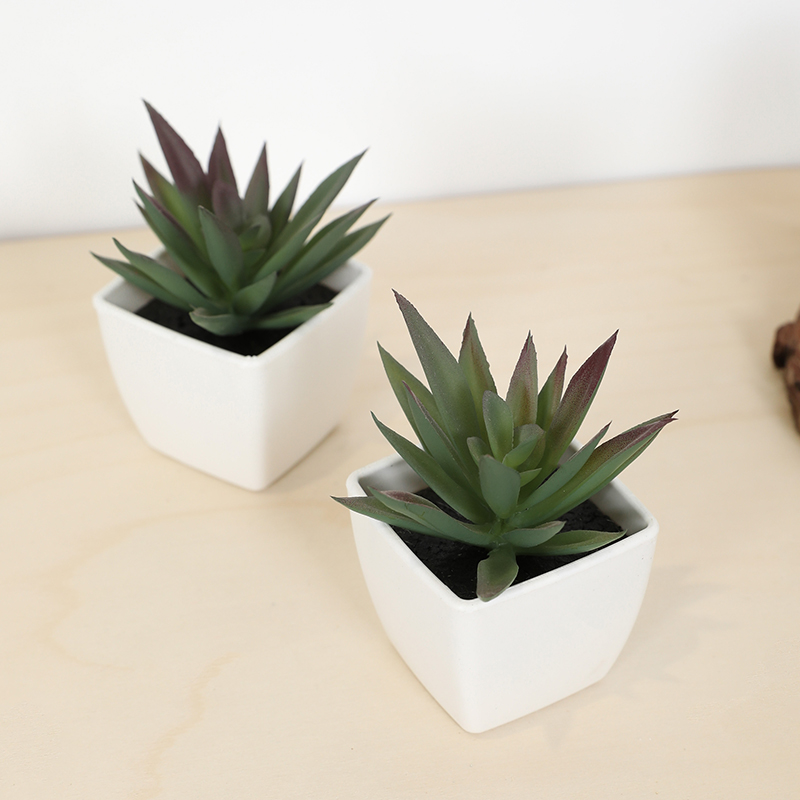 Mini Artificial Succulent Fair - Bonsai Garden Ideas ulasan dan harga