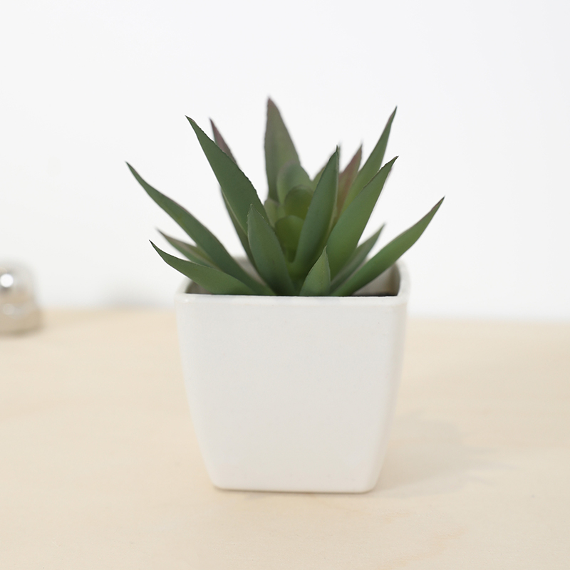 Mini Artificial Succulent Fair - Bonsai Garden Ideas ulasan dan harga