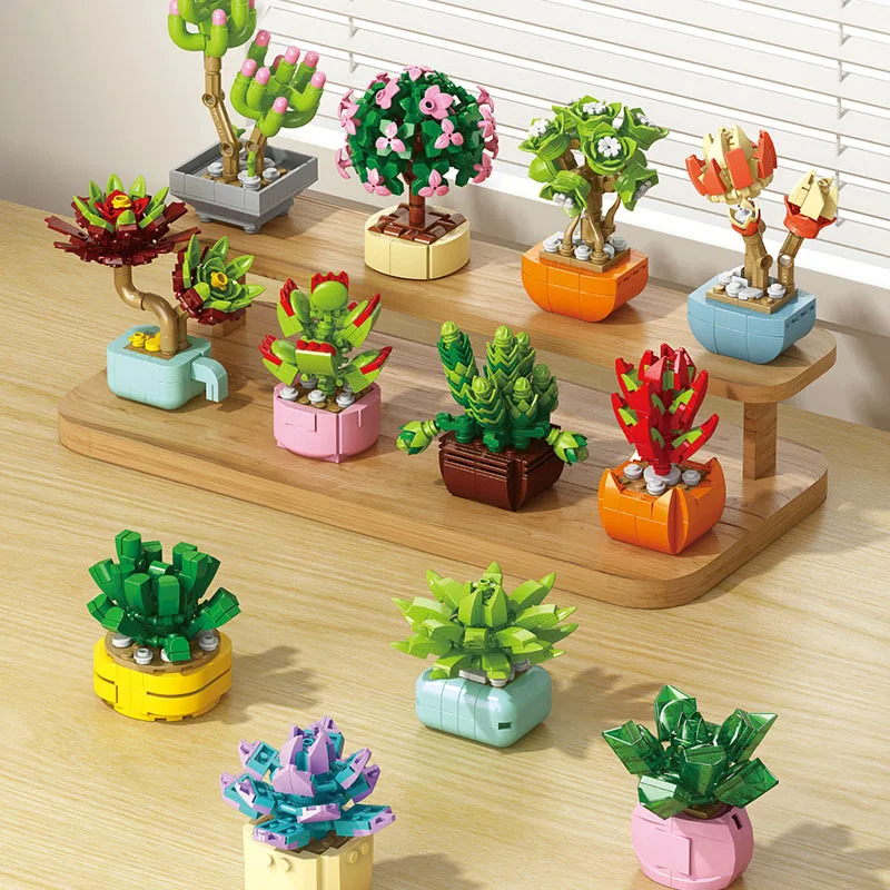Flowers Succulents Building Bl - Bonsai Garden World ulasan dan harga