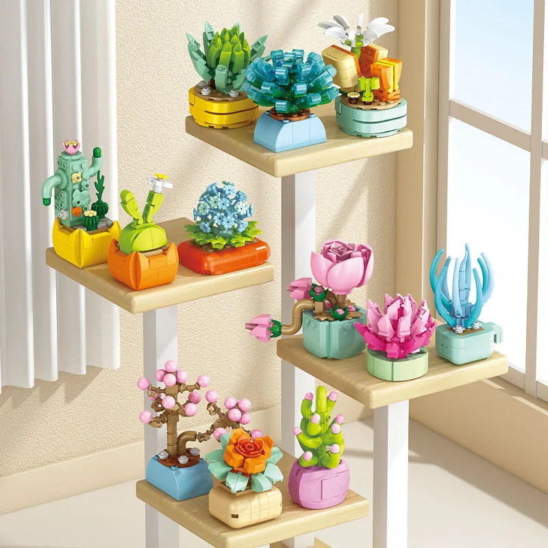 New Flowers Succulents Buildin - Bonsai Garden World ulasan dan harga