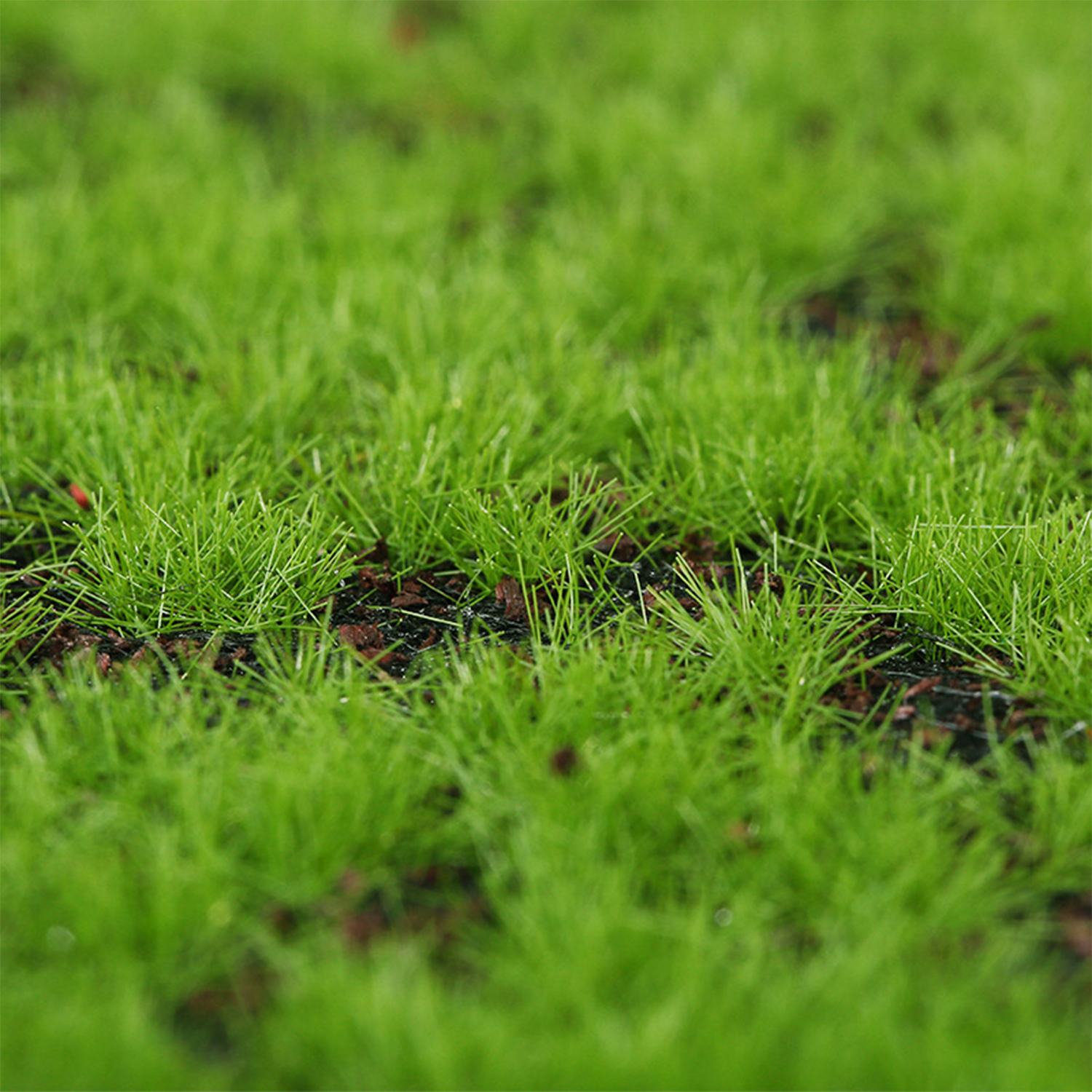 Artificial Moss Turf Simulatio - Bonsai Garden Ideas ulasan dan harga